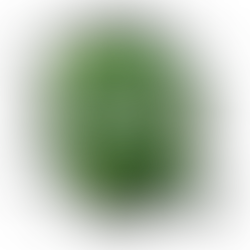 Yeşile Boyanmış Gerçekler: Greenwashing