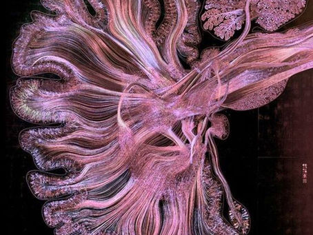 Her Yerimize Yapışan Sim : Manifestlemek 