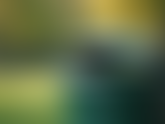 Como a Limpeza de Lixeiras Melhora a Saúde Pública