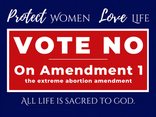 No on Amendment 1 