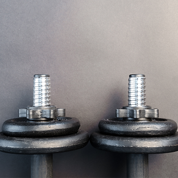 Two dumbbells sit in front of a gray background, Pro-Balance Health.