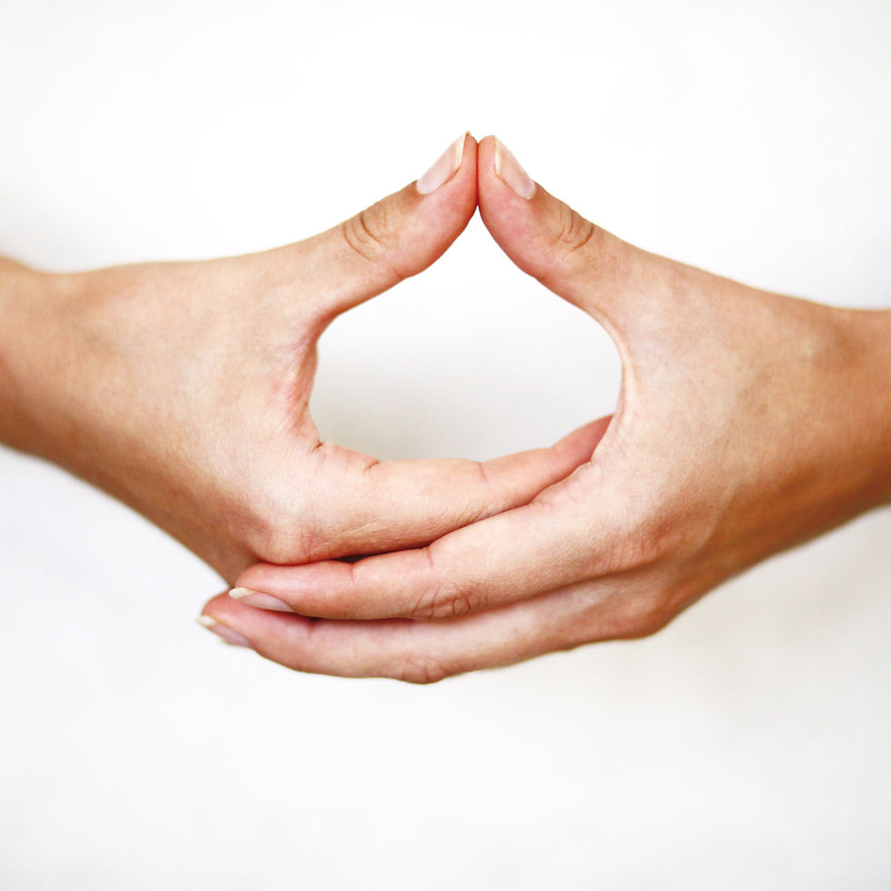 Deux mains en dhyani mudra, qui est un mudra des mains en yoga ou l'on pose la main droite sur la main gauche les paumes de mains vers le haut les pouces se touchant.
