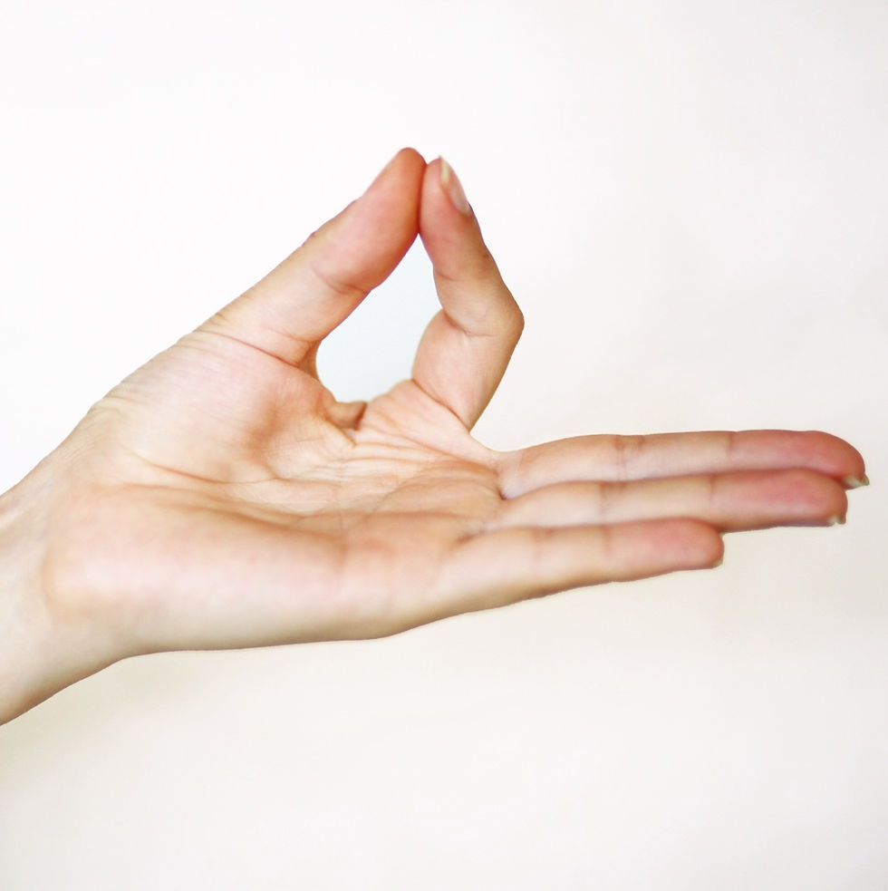 Une main en jnana mudra, qui est un mudra des mains en yoga ou l'on presse l'index contre le pouce et les trois autres doigts détendus vers le sol.