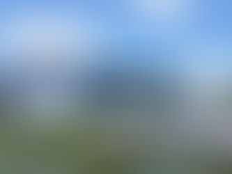 Rainy Season's Harvest #3 NARA