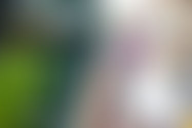 Mariage Estelle & Thomas "Reportage"