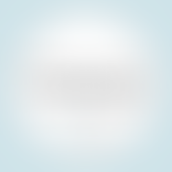 Finančné trhy v roku 2025: Rok rekordov, v ktorom sa trpezlivosť vyplatila