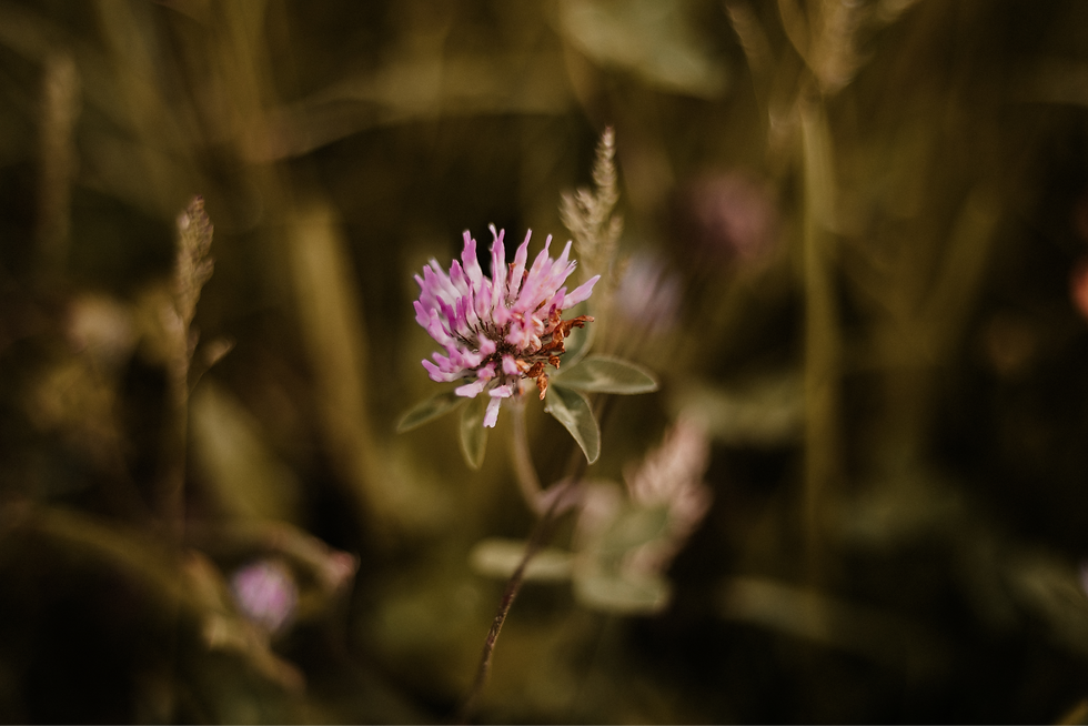 header_energiearbeit