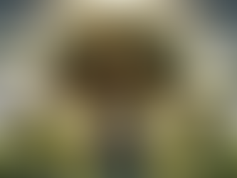 Applewood pronouns 53% less amenable than national average