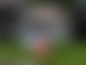 Subversive front-lawn Slow Down sign so subversive it appears to say House For Sale