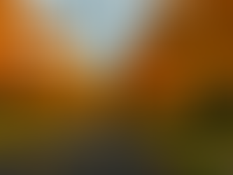 Applewood, in case you hadn’t noticed, is beautiful today