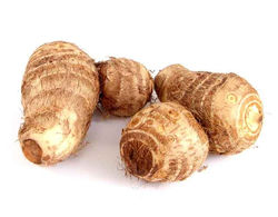 COLLOCASIA ROOT
