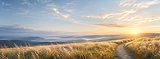 Field with mountain view