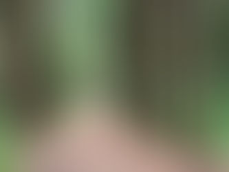 Why I Became a Therapist....and What I Believe about Healing & Growth