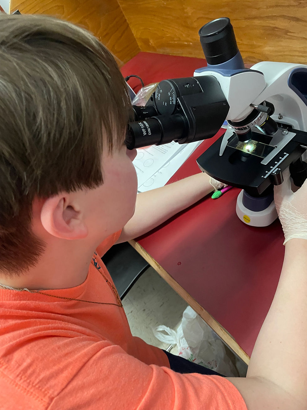 Student using a microscope for a classroom grant project.
