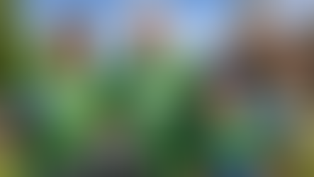 Milton Good Neighbours Day Returns May 2, Bringing Community Together for Annual Clean-Up