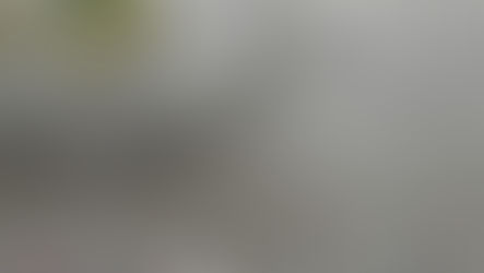 Milton reminds residents to pick up garbage after litter left in parks.