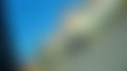 Car crashes into Milton bank.