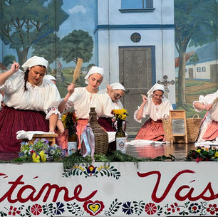 Looking Back at 2025 with Veselica