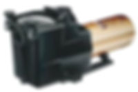 pool pump, pool motor