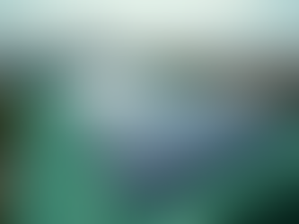 Achieving Progress with Sustainable Development Solutions