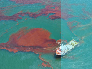 Integrated Coastal Oil Spill and Harmful Algal Bloom Monitoring for the UAE Shorelines