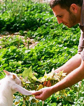 Farm%20Goat%20_edited.jpg