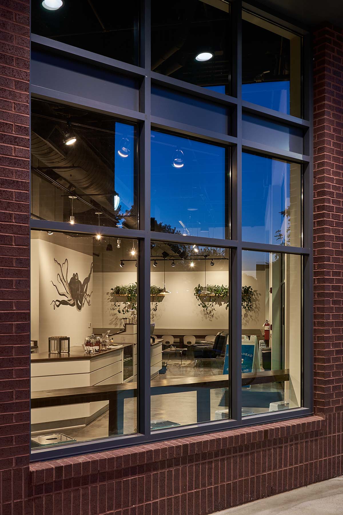 Blue Sail Coffee