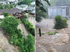 Real Estate and Insurability in New Zealand: Addressing a Growing Challenge