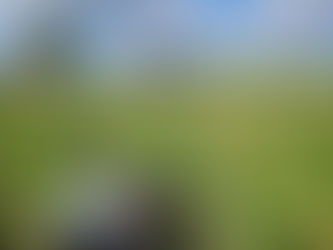 Assessing the Structural Integrity of Stopbanks