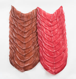 Red Reddish
Fabric, thread, encaustic
22" x 22" x .5"
Two reddish colors, patterns of  "pleating."
Photo: Peter Jacobs