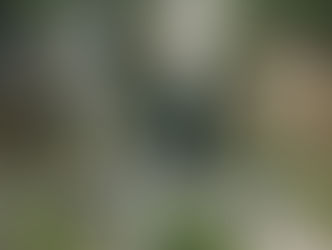 Motorbike Escapades in Laos (+ Waterfalls!)