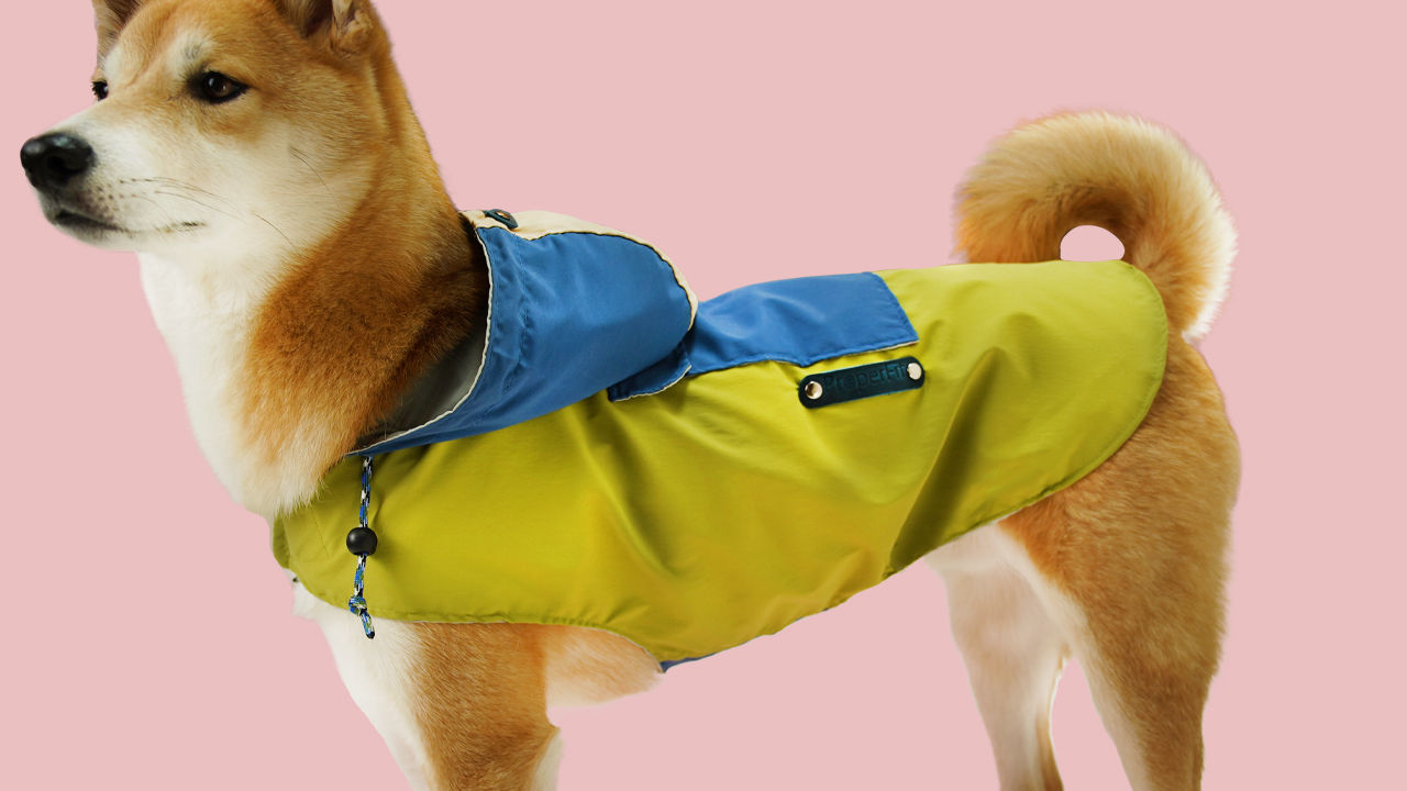 Simple Pet Jacket Pattern (Download)