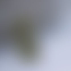 Split payment od 1.7.2018 - pytania i odpowiedzi