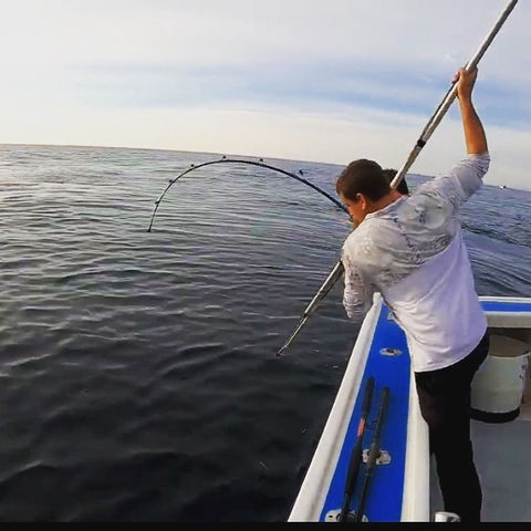Captain Jordan about to spear a big tuna