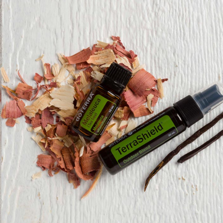 Join the Adventure with TerraShield® and Melaleuca