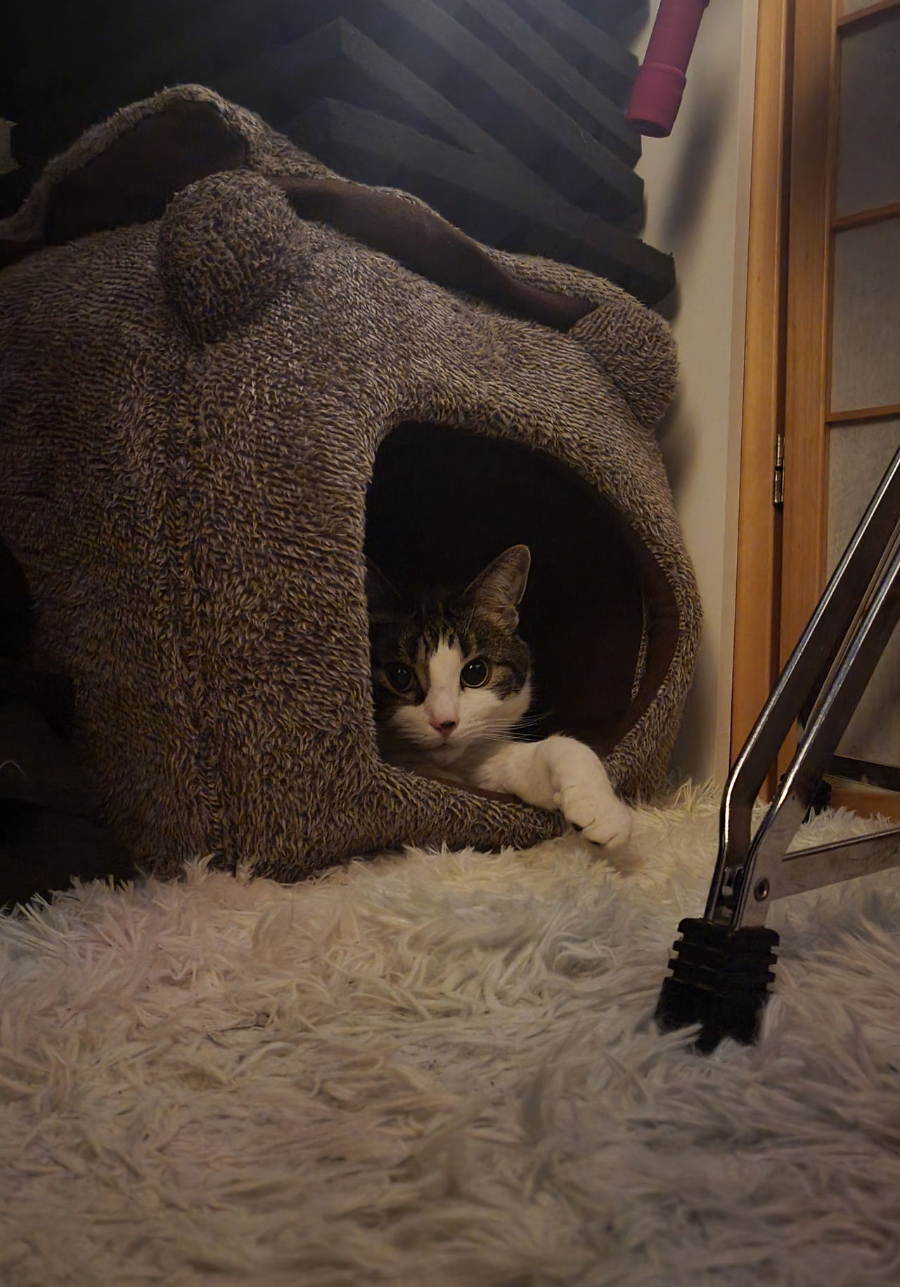 A cat sleeping in a vocal booth.