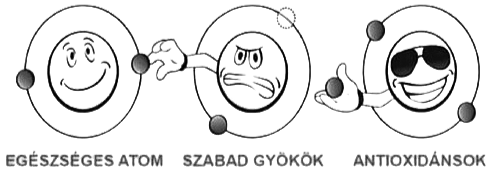 a szabadgyökök hatása