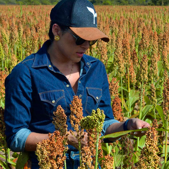 galeria de servicosPrancheta 1 copiar 4_1