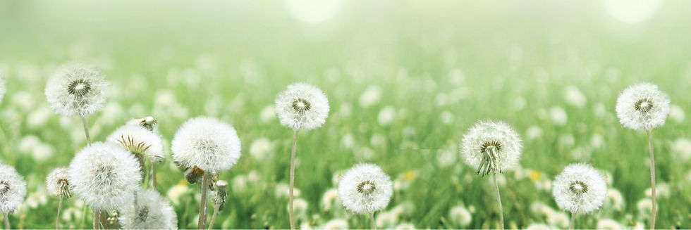 Spring Break Bash 2026.jpg