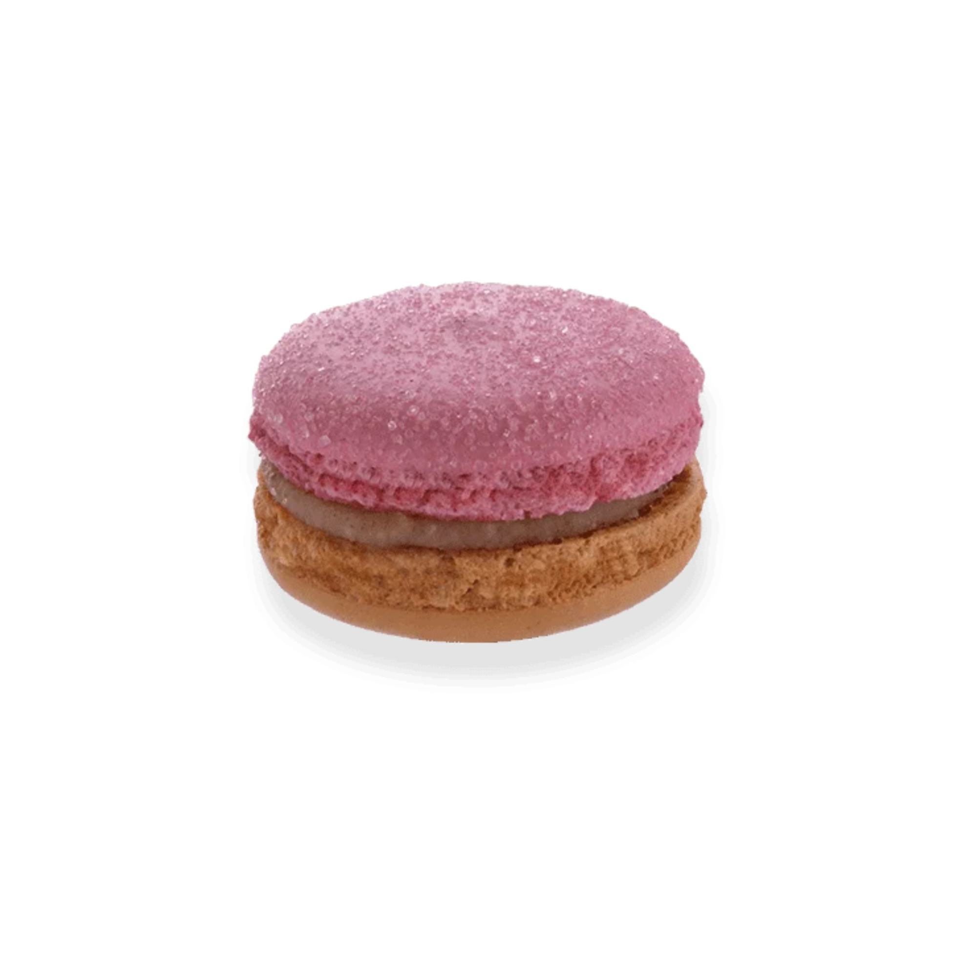 Speculos Macaron