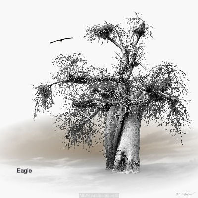 Thumbnail: Cigarello Baobab collection