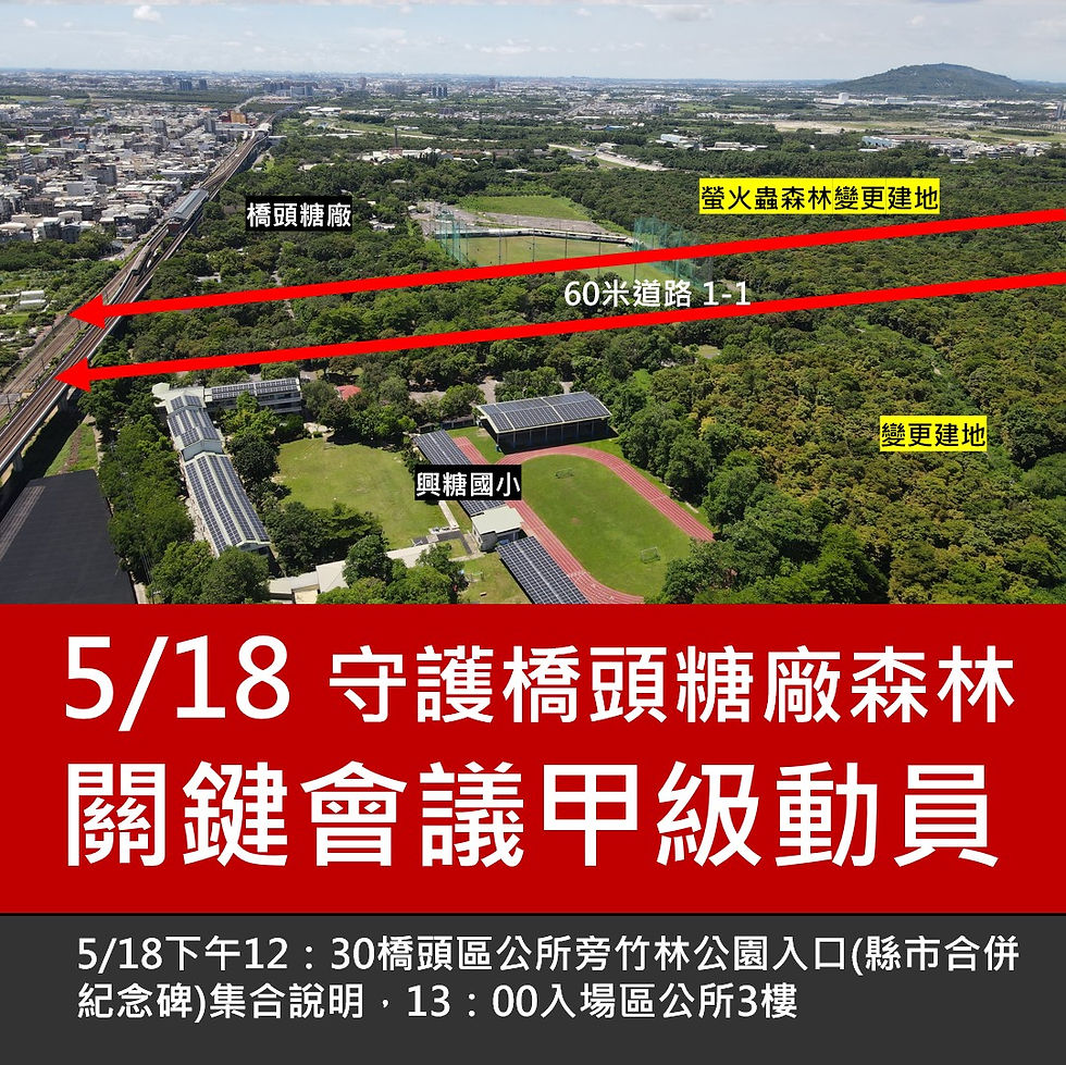 搶救橋頭糖廠百頃森林