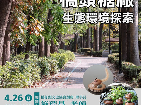 橋頭糖廠生態環境探索