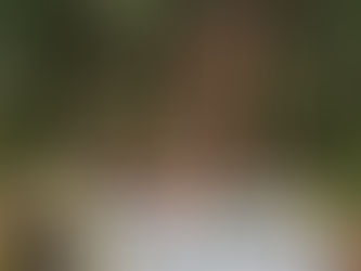 搶救橋頭糖廠百頃森林