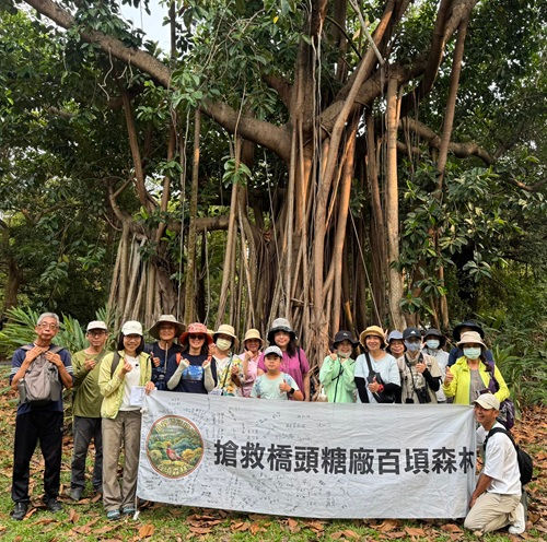 搶救橋頭糖廠百頃森林