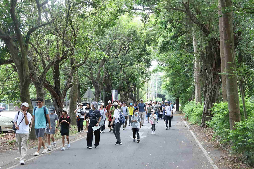 橋頭糖廠森林小旅行