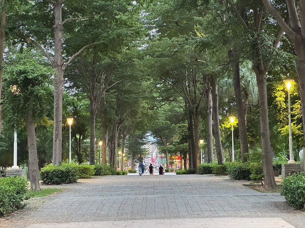 【記者會】三民公園守護林蔭大道成功，訴求修正圖面後再開說明會。
