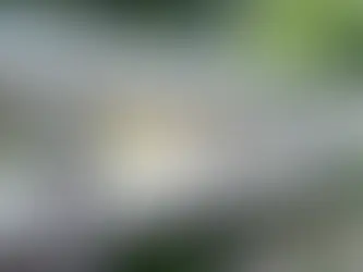 TAURON inwestuje w ekologiczny system ciepłowniczy w Wolbromiu