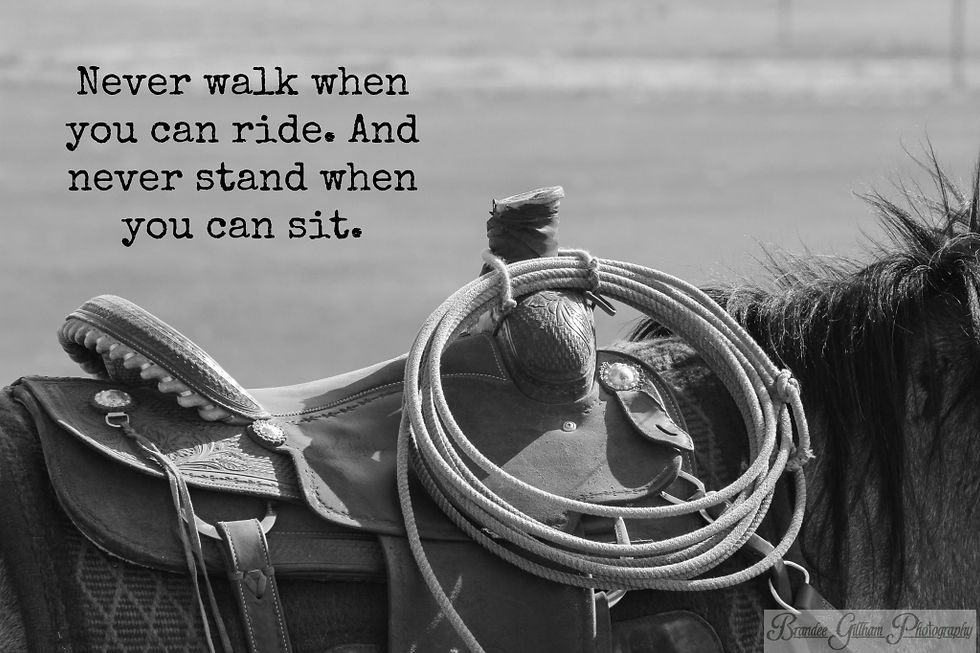 Saddle
