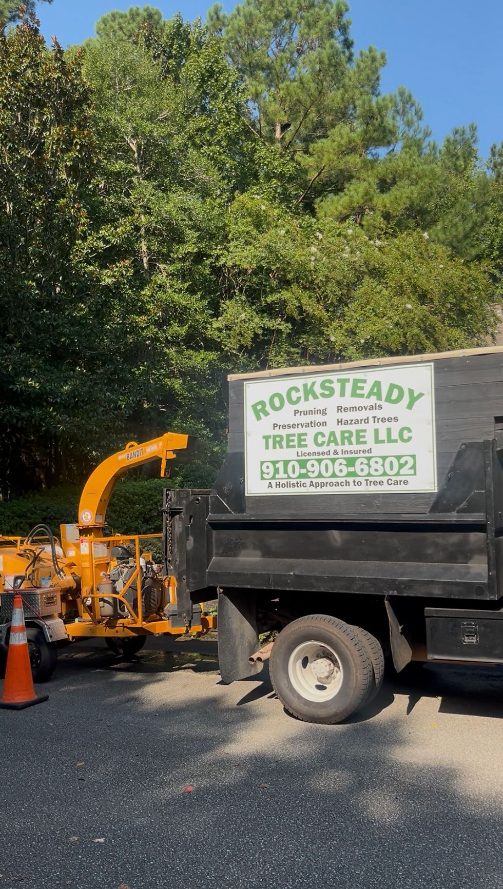 How to Choose the Best Tree Service in Wilmington, NC